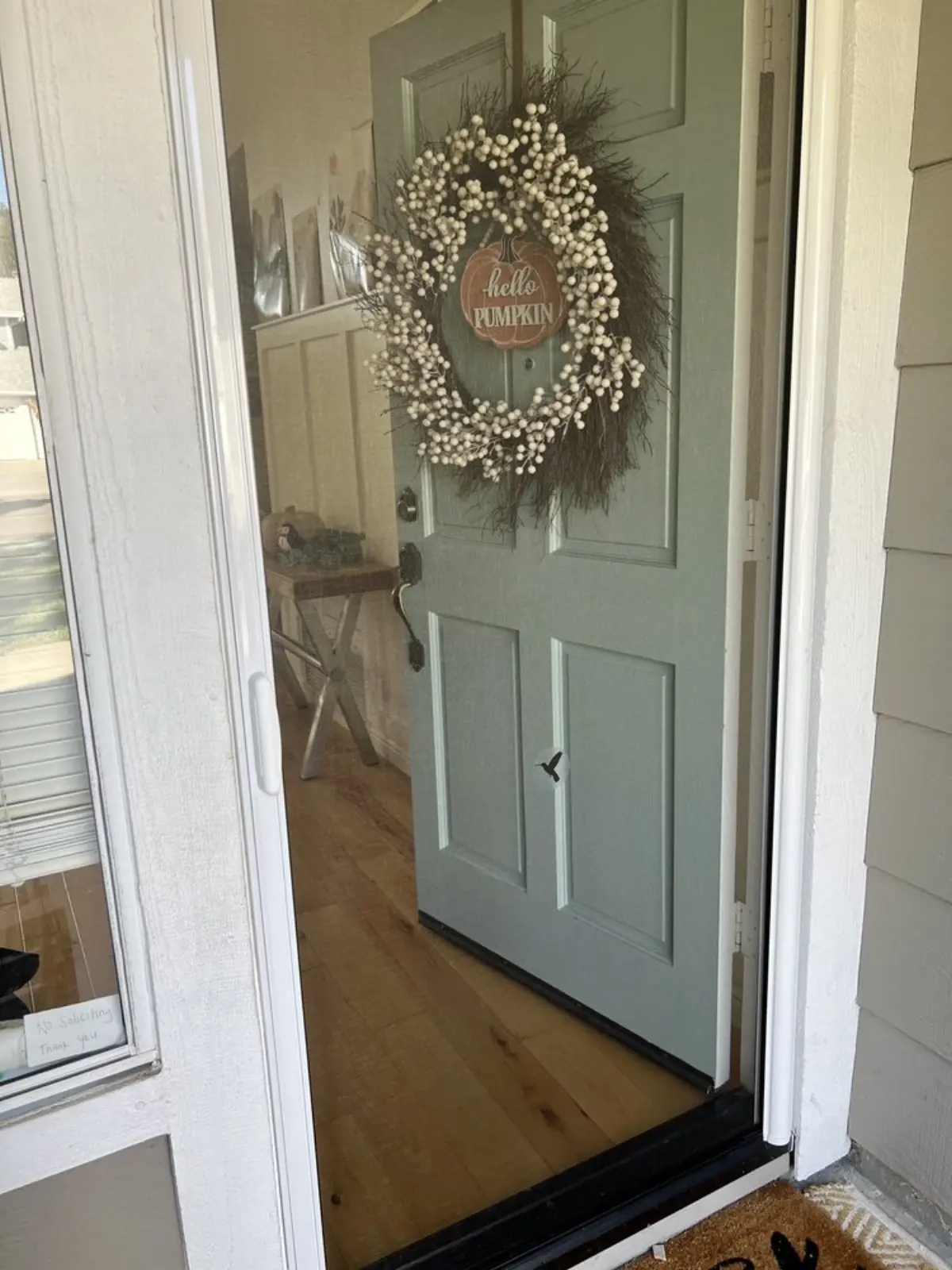 Retractable Window Screen & Mosquito Net - Palo Alto